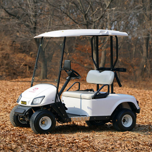 电动高尔夫球景区2人观光车