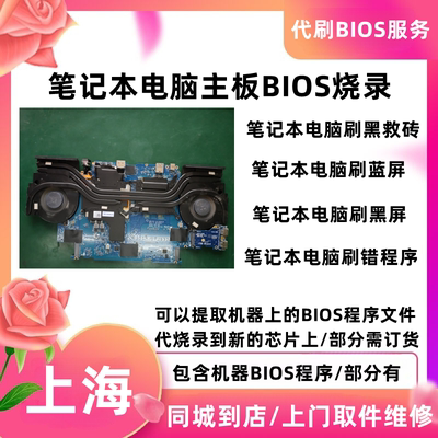 石页BIOS系统程序编程器刷新修复写机笔记本电脑主板线重刷BIOS