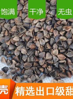 荞麦壳家用枕头枕芯5斤荞麦皮免洗杀菌助眠单人成人儿童专用散装