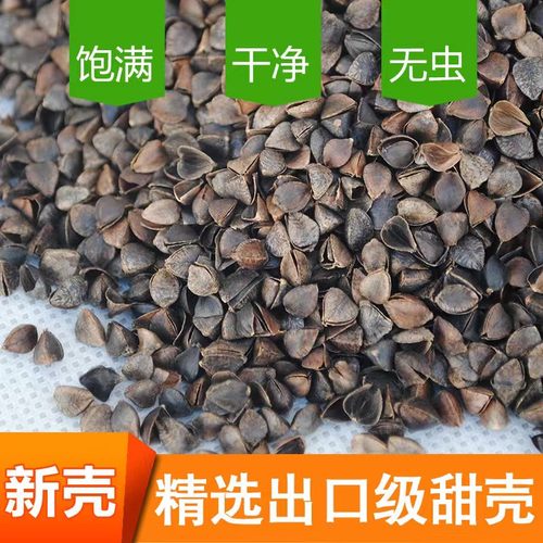 荞麦壳家用枕头枕芯5斤荞麦皮免洗杀菌助眠单人成人儿童专用散装