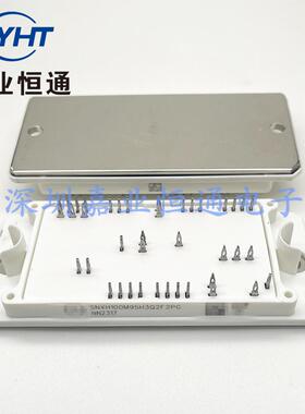 SNXH100M95H3Q2F2PG 新能源功率模块 电子元器件/BOM配单