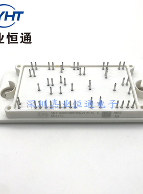 新能源模块 SNXH600B100H4Q2F2S1G-S IGBT 电子元器件/BOM表配单
