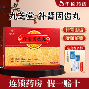 九芝堂补肾固齿丸4g*8袋牙齿酸软咀嚼无力松动移位慢性牙周炎正品