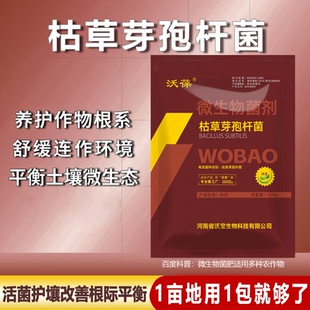 枯草芽孢杆菌有机蔬菜土壤改良菌农用防治病害肥种植单一微生物菌