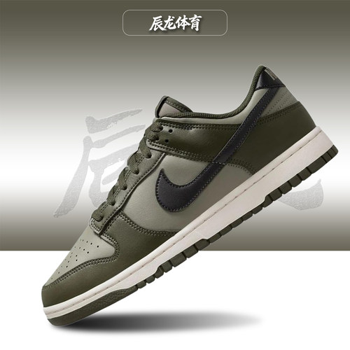 Nike/耐克男子低帮板鞋
