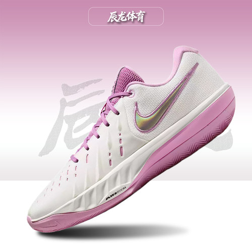 Nike/耐克男子低帮篮球鞋