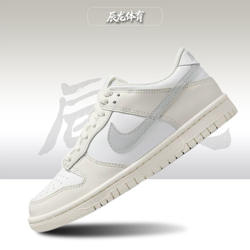 Nike/耐克大童低帮板鞋