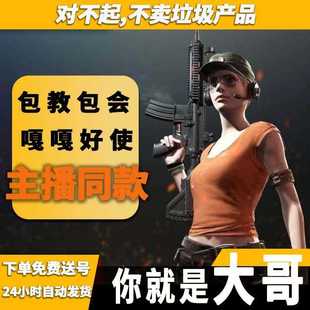 绝地求生PUBG吃鸡Steam排位匹配主播专用同款价格透明过玄武稳定