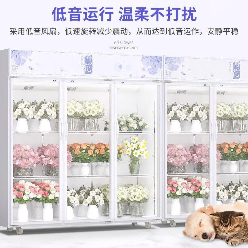 迅冬鲜花保鲜冷藏柜花店冰柜展示柜风冷无霜冰箱立式绿植保鲜柜