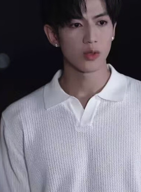 少夫人来自东北业文周赫轩同款白色Polo领V领短袖宽松百搭T恤上衣