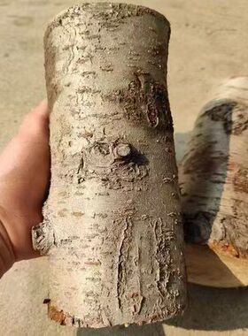 桃木雕刻木料桃树卧室东南桃枝发簪小肥刀木雕手工原材料原木客厅