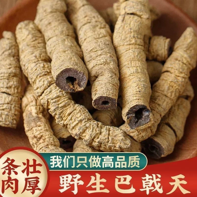 巴戟天深山野生中药材
