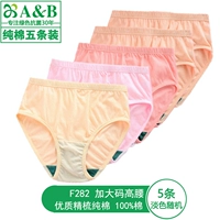 5 светлых цветов (F282 чесаный хлопок больших размеров с завышенной талией)