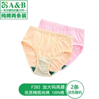 2 светлых цвета (F282 чесаный хлопок больших размеров с завышенной талией)