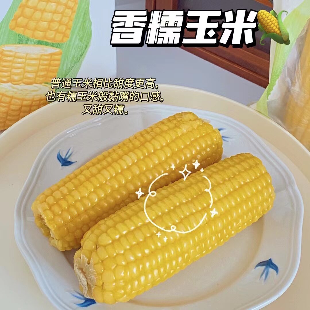 【一根玉米满足一餐营养】哈喽玉米香糯新鲜非速冻真空锁鲜家庭装