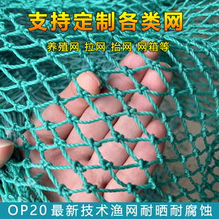 定做网箱围网养殖网养鸡聚乙烯渔网拉网拖网清塘鱼网抬网隔网尼龙