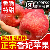 包邮 陕西新西兰爱香妃苹果脆甜新鲜当季 时令孕妇儿童水果整箱顺丰