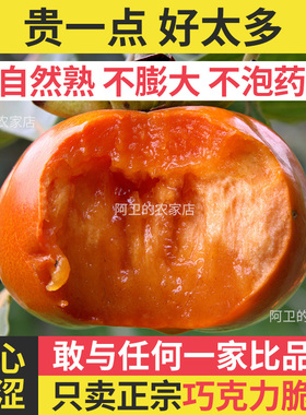 【现摘现发】广西水果巧克力甜脆广西正宗阳丰脆当季孕妇新鲜甜柿