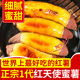 正宗红天使蜜薯日本高端烤红薯番薯地瓜赤炎黄心地瓜新鲜农家红芋