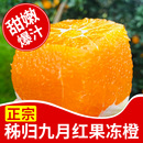 不打蜡 肉厚细嫩 秭归现摘脐橙 无渣无籽 正宗九月红爆浆果冻秋橙