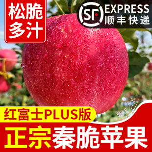 正宗陕西秦脆苹果2025新嘎嘣脆甜多汁当季新鲜水果红苹果富士顺丰