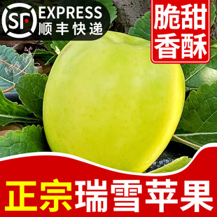 包邮 新鲜孕妇水果礼盒顺丰整箱 应季 正宗陕西瑞雪苹果青酥脆甜当季