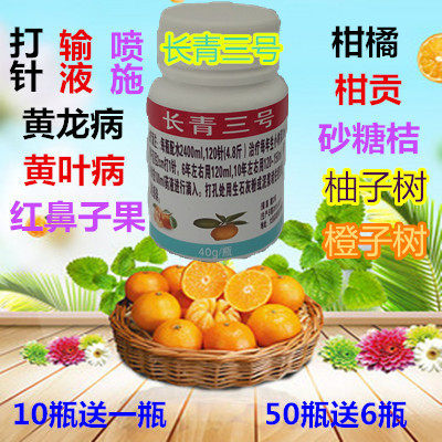 黄龙病长青三号柑桔脐橙黄化红鼻子果砂糖桔柚子黄叶叶角菌包邮