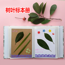 树叶标本册收集收藏押花创意压花学生DIY手工制作收集采集册