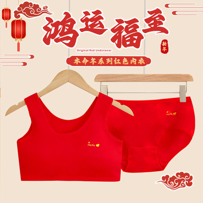 本命年女童内衣内裤套装9-15岁女