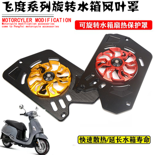 适用三阳飞度5改装水箱散热风叶罩FIDDLE150 飞度4保护罩水箱护网
