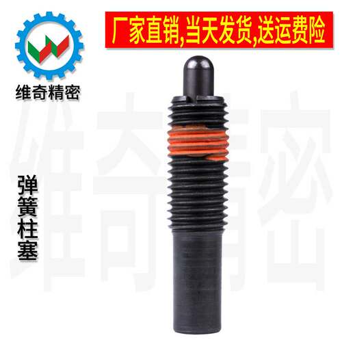 弹簧柱塞PJLPJH维奇精密现货