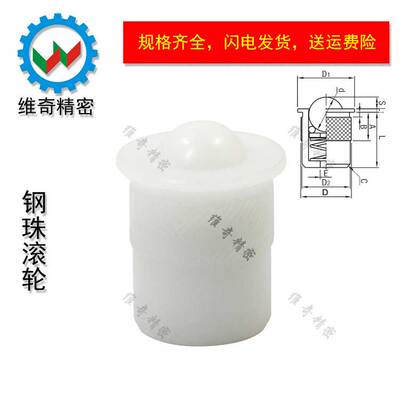 球头柱塞PFPR滚轮维奇精密现货