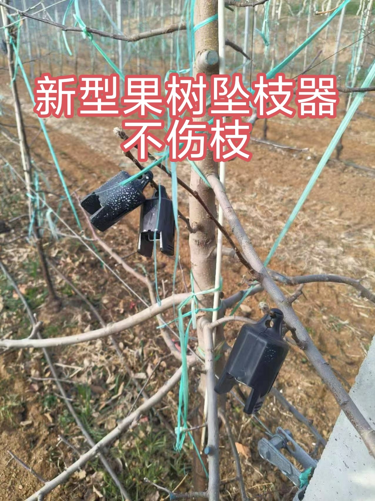 果树枝条拉枝定型器坠枝定型神器苹果树拉枝定型弯枝器新款定型器