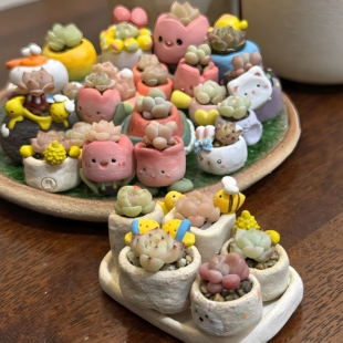 小多肉精品绿植名贵稀有拇指盆迷你盆栽带盆多肉植物盆栽桌面摆件