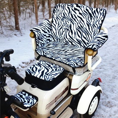 爱玛雅迪金彭小鸟艾美达台铃万仕达三连坐电动三轮车防晒座套坐垫