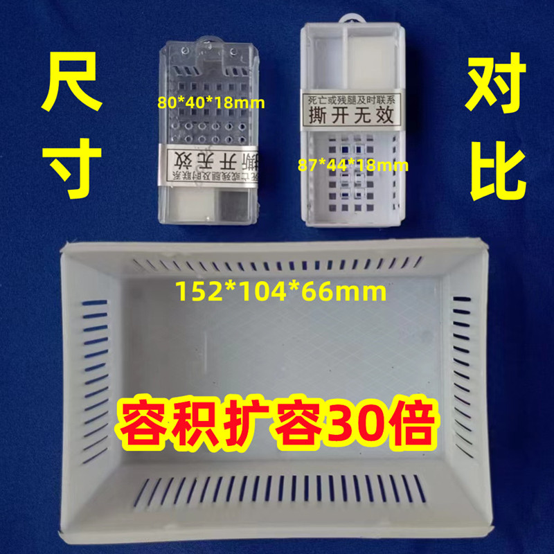 加大款笼蜂邮寄蜂王小蜂群蛋蛋群其它宠物用具
