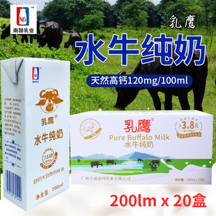 乳鹰水牛纯奶高钙奶盒装 纯牛奶整箱200mlX20盒儿童孕妇学生早餐奶