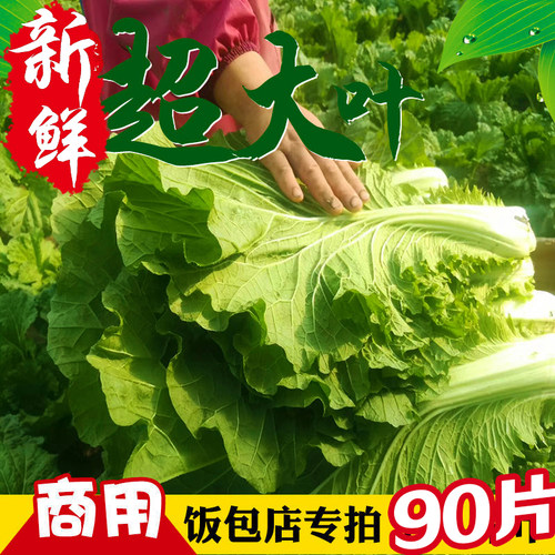 白菜叶饭包东北饭包店商用白菜叶