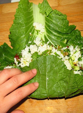 新鲜东北白菜叶饭包叶