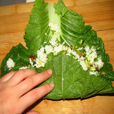 新鲜东北白菜叶饭包叶