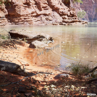 UE5虚幻5次世代自然写实现代野外沙漠森林场景Rural Australia