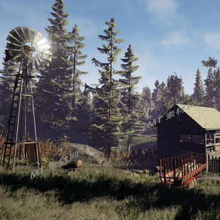 UE5.0虚幻5.0次世代写实自然环境欧洲森林场景European Forest