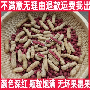 农村生花生米晒干带壳新货农家自种子四粒红衣花生炒熟原味