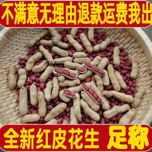 2025年新货红皮花生米晒干带壳四粒红农家自种子原味炒熟红衣花生