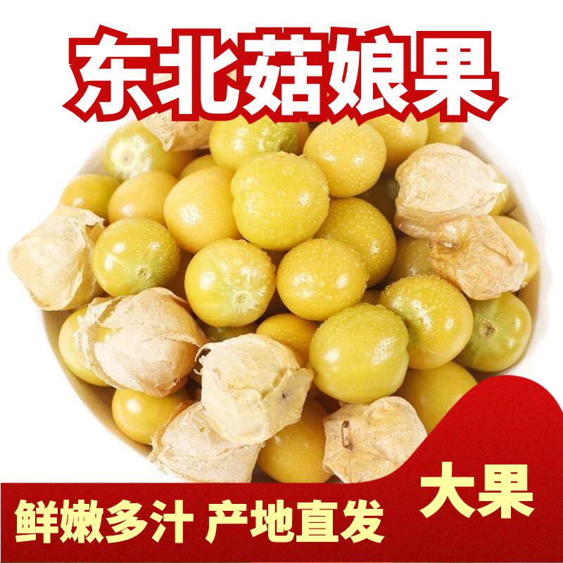 现货东北甜菇娘果水果新鲜黄姑娘其它