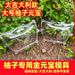 大号金元宝柚子模具造型带字成型蜜柚沙田柚成长塑料模型招财进宝