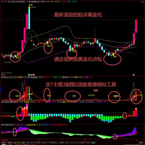 最新波段的起点黄金坑通达信新版黄金坑含1主3副2选套装指标工具