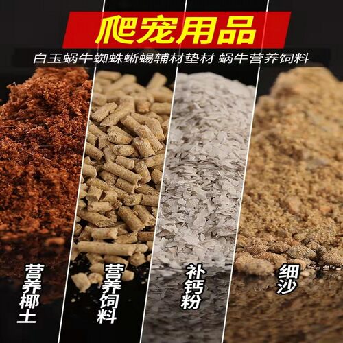 白玉蜗牛辅材营养饲料椰土垫材