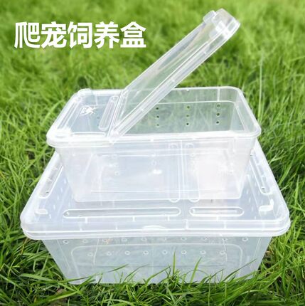 养蚕饲养盒 蚕宝宝饲养盒宠物饲养箱爬虫饲养盒蜗牛养育盒子