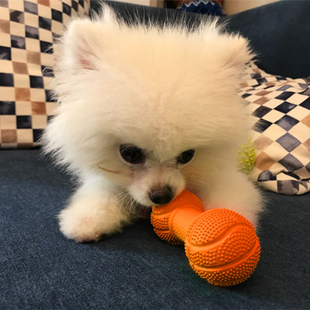 laroo莱诺狗狗玩具宠物比熊泰迪自嗨解闷神器小狗磨牙耐咬发声球